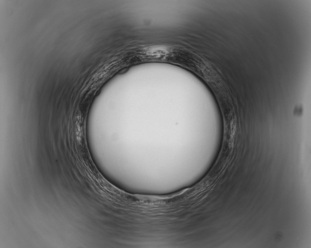 X0000115621394200912011604