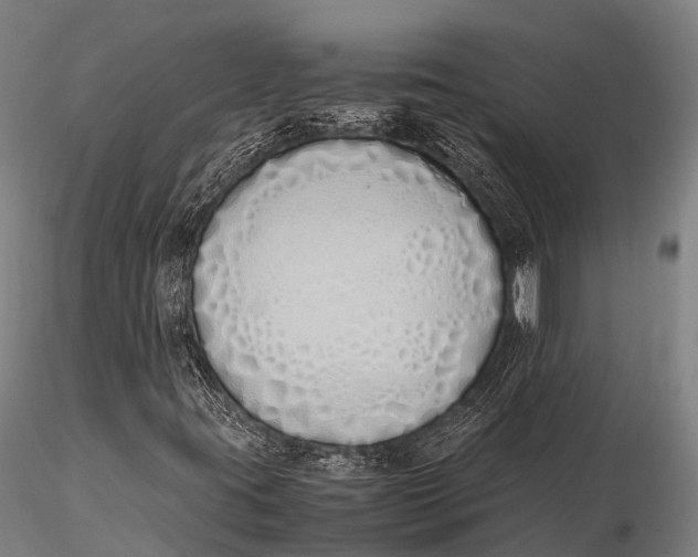 X0000115621395200912011604