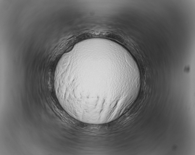 X0000115621396200912011604