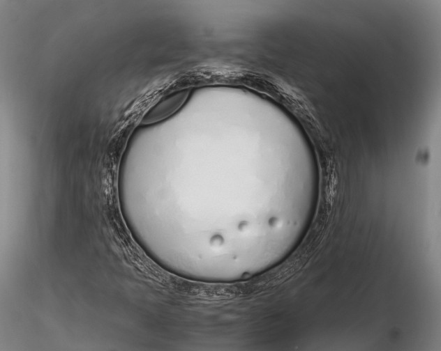 X0000115621397200912011604