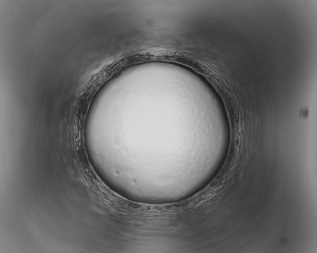 X0000115621398200912011604