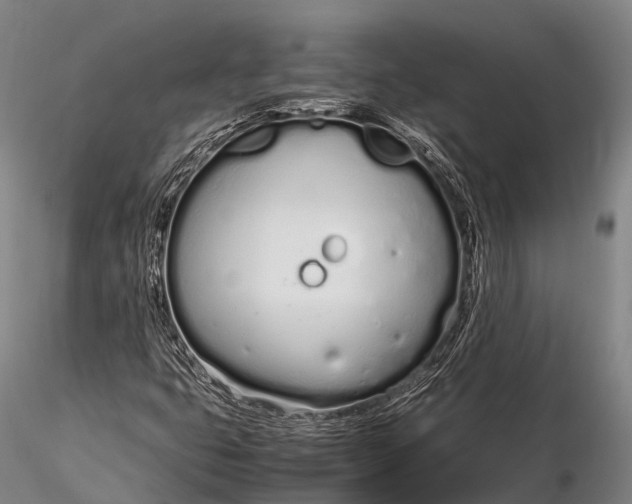 X0000115621399200912011604