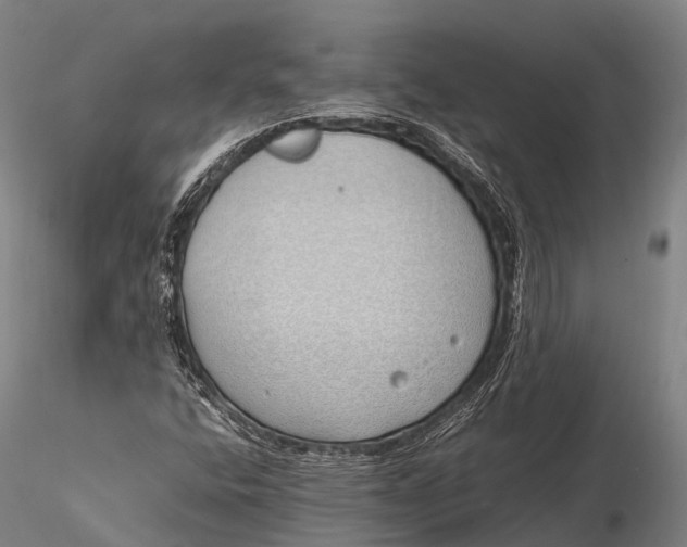 X0000115621400200912011604