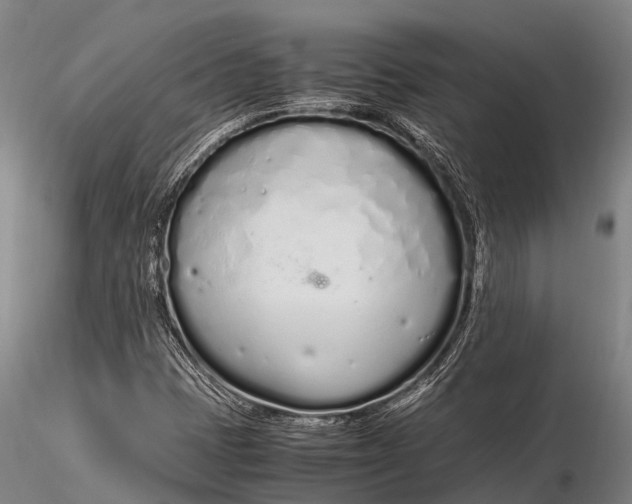 X0000115621401200912011604