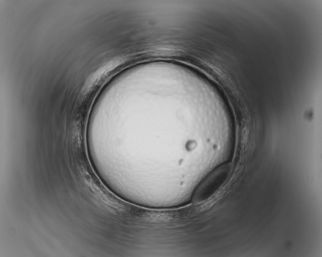 X0000115621402200912011604