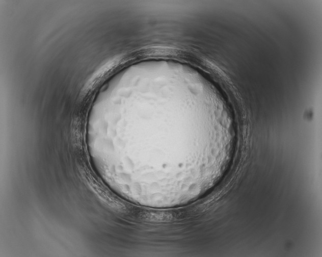 X0000115621403200912011604