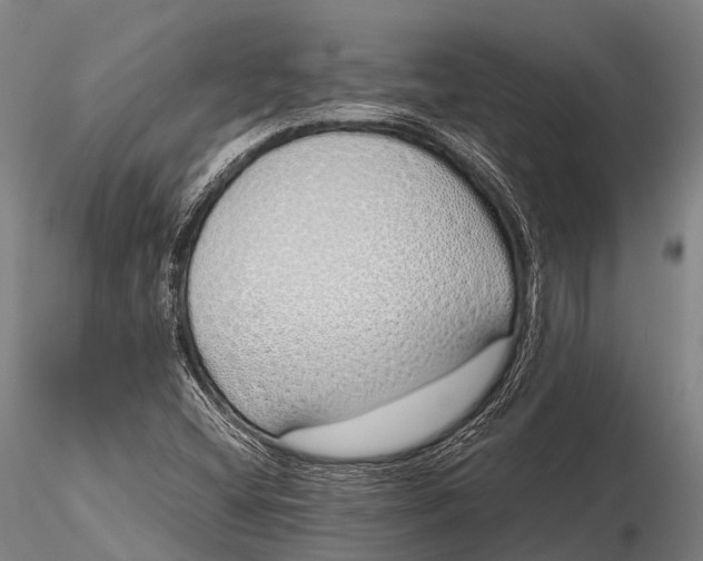 X0000115621404200912011604