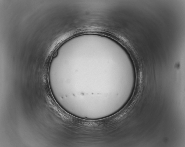 X0000115621405200912011604