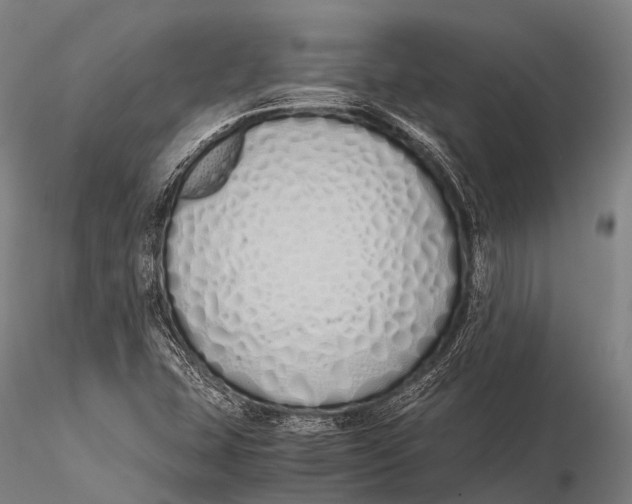 X0000115621407200912011604