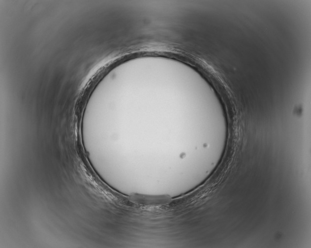 X0000115621408200912011604