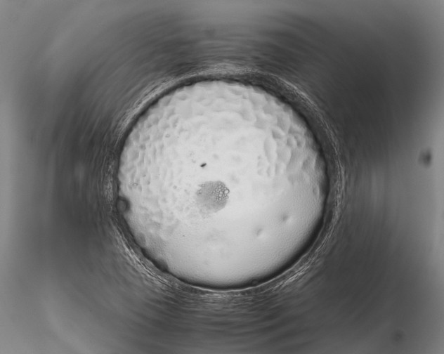 X0000115621409200912011604