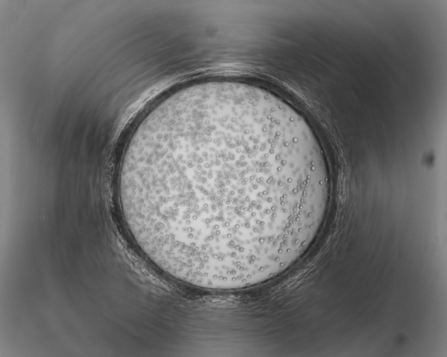 X0000115621410200912011604