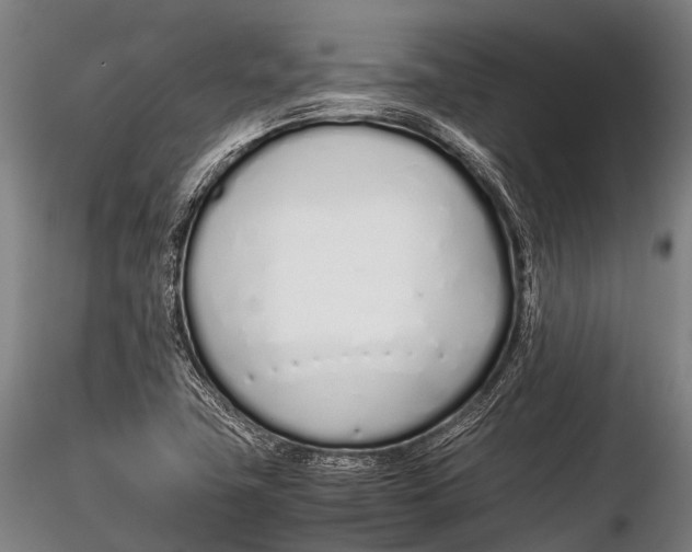 X0000115621411200912011604