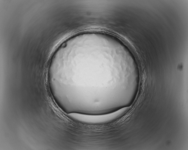 X0000115621413200912011604