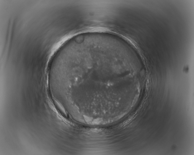 X0000115621414200912011604