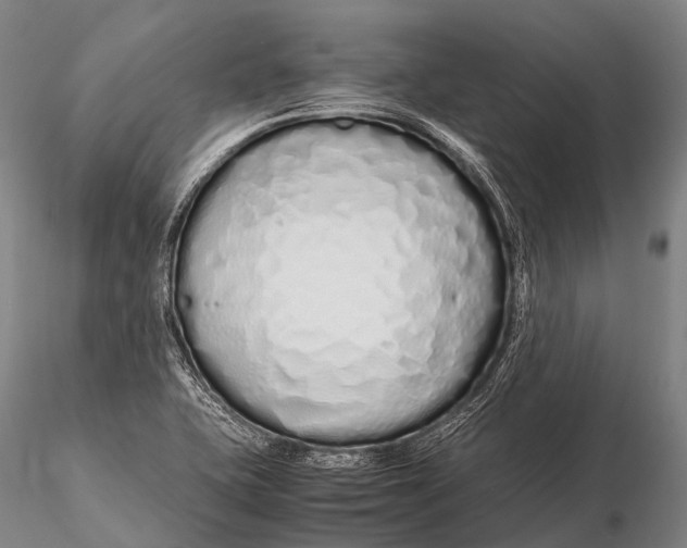 X0000115621415200912011604