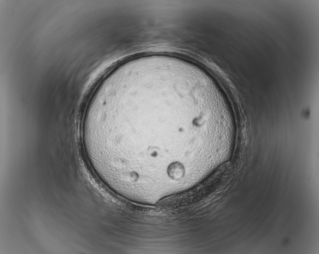 X0000115621416200912011604