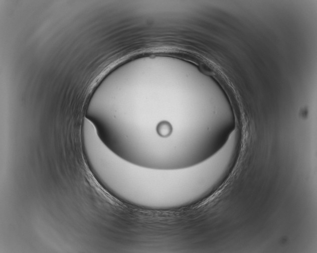 X0000115621417200912011604