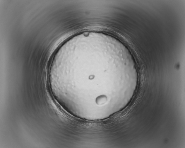 X0000115621418200912011604