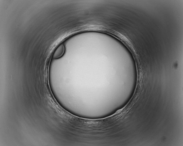 X0000115621419200912011604