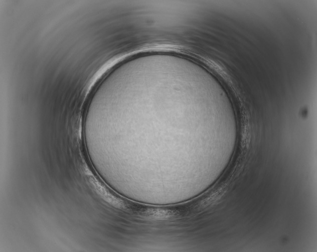 X0000115621420200912011604