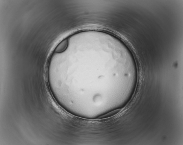 X0000115621421200912011604