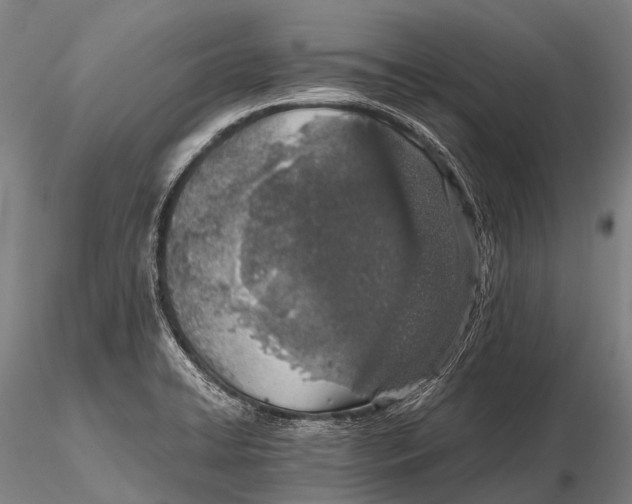 X0000115621422200912011604