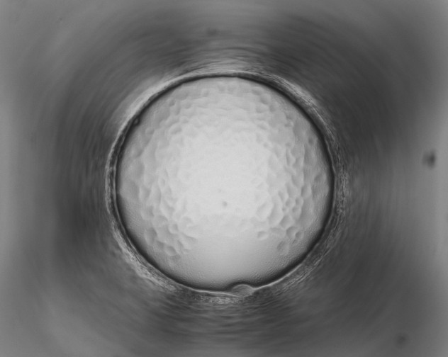 X0000115621423200912011604