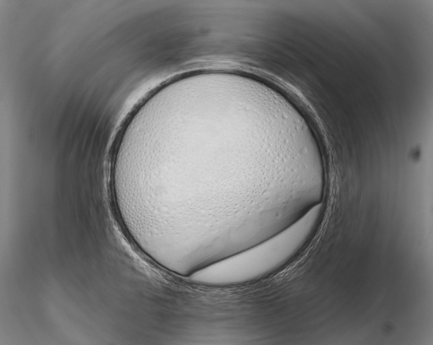 X0000115621424200912011604