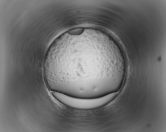 X0000115621425200912011604