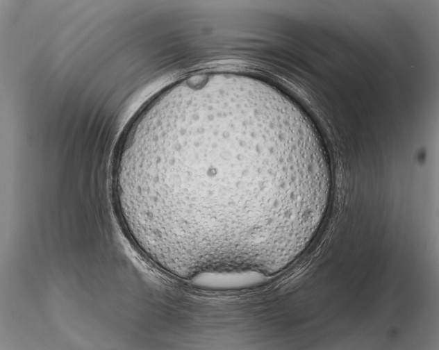 X0000115621426200912011604