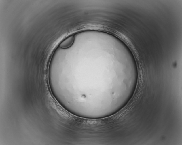 X0000115621427200912011604