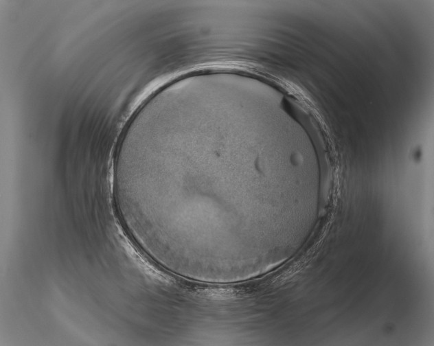 X0000115621428200912011604