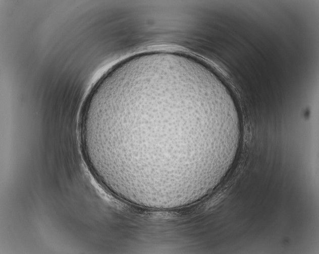 X0000115621430200912011604