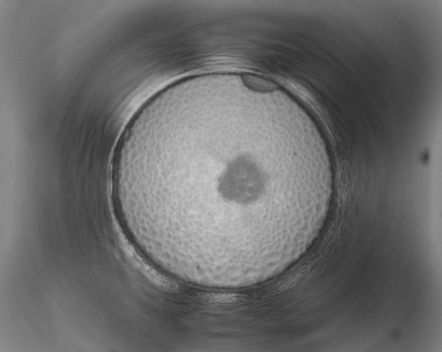 X0000115621431200912011604