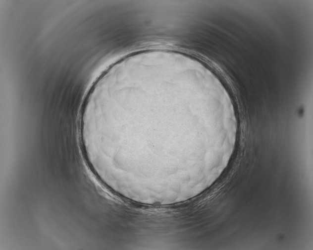 X0000115621432200912011604