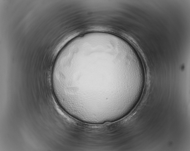 X0000115621433200912011604