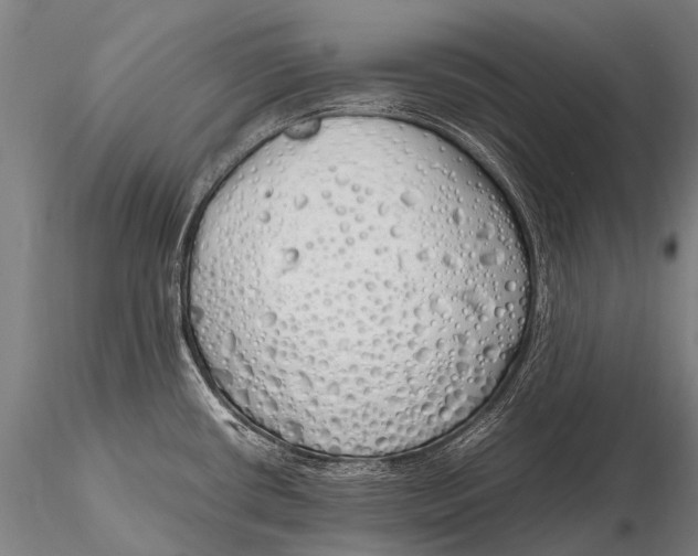 X0000115621434200912011604