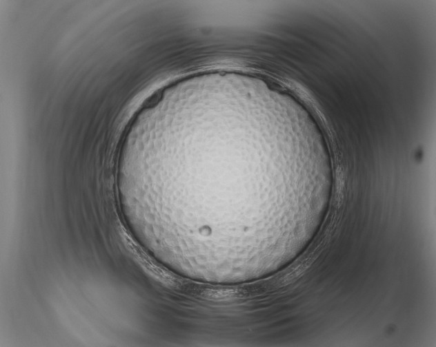 X0000115621435200912011604