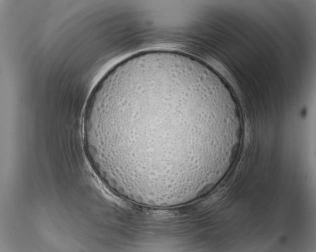 X0000115621436200912011604