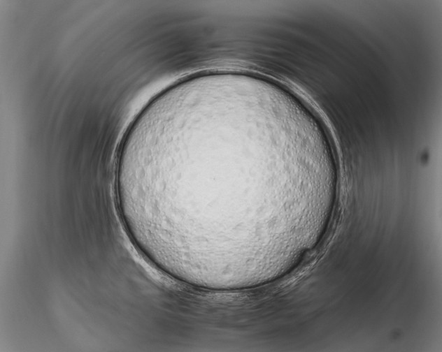 X0000115621437200912011604