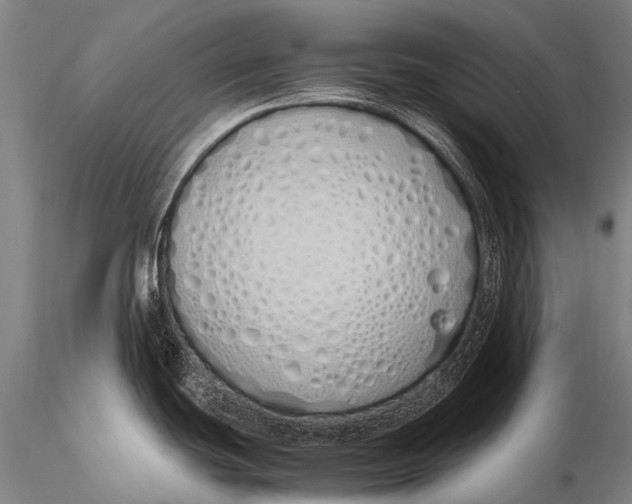 X0000115621439200912011604