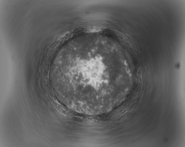 X0000115621441200912011604