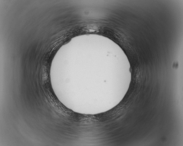 X0000115621442200912011604