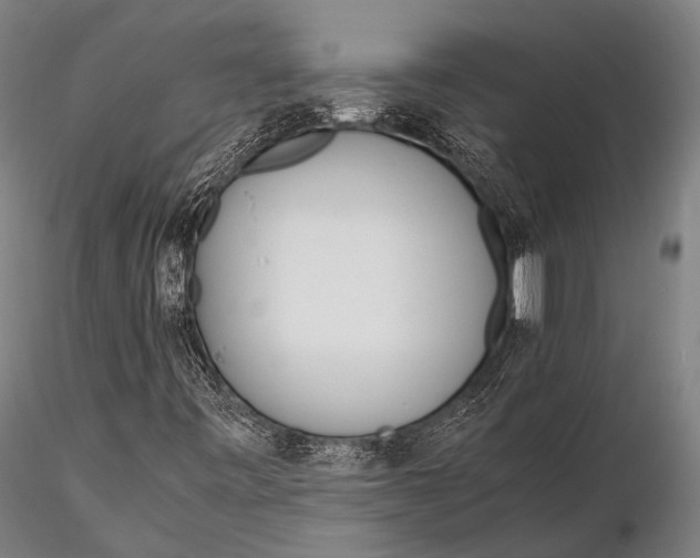 X0000115621443200912011604