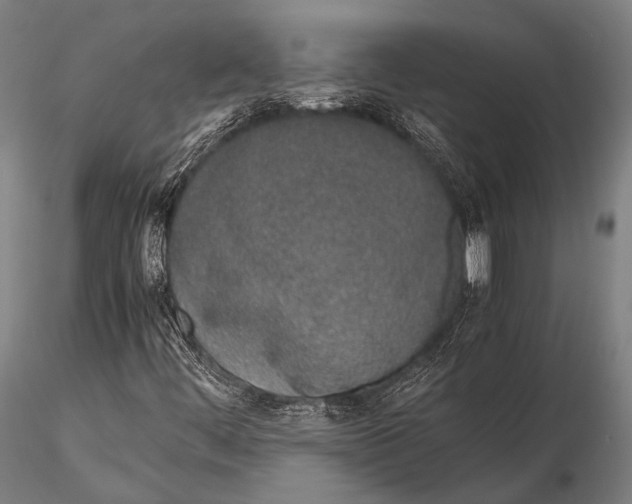 X0000115621444200912011604