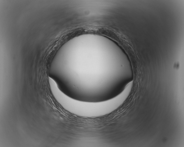 X0000115621445200912011603