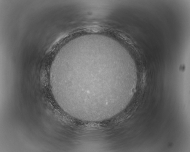 X0000115621446200912011603