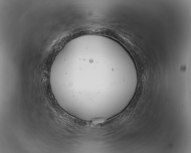 X0000115621447200912011603