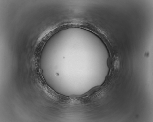 X0000115621448200912011603